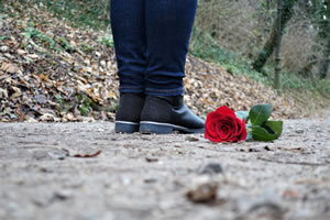 Lost on Valentine's Day